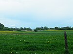 Landschaftsschutzgebiet Grünlandkomplex am Frettholz