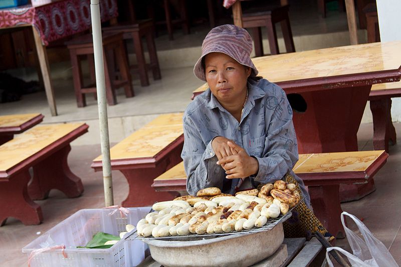 File:Laos - Luang Prabang 04 - fried bananas for sale (6579625209).jpg
