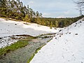 * Nomination After persistent rainfall a dry valley filled with water above the Leinleiterquelle --Ermell 06:20, 2 July 2020 (UTC) * Promotion Good quality --Michielverbeek 07:01, 2 July 2020 (UTC)