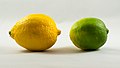 * Nomination An average sized, slightly overripe lemon and a smallish slightly underripe lime. --Rhododendrites 00:59, 7 December 2016 (UTC) * Promotion Good quality. -- Johann Jaritz 05:09, 7 December 2016 (UTC)