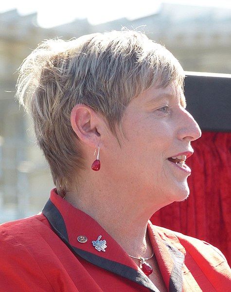 File:Lianne Dalziel, February 2015.jpg