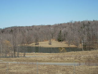 <span class="mw-page-title-main">Liberty Township, Tioga County, Pennsylvania</span> Township in Pennsylvania, United States