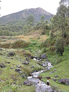 Einer der vielen Bäche, die zum Einzugsgebiet des Belulik gehören. Im Hintergrund Osttimors höchster Berg, der Tatamailau.
