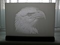 Литофан - белоголовый орлан.jpg