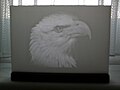 Lithophane - Weißkopfseeadler.jpg