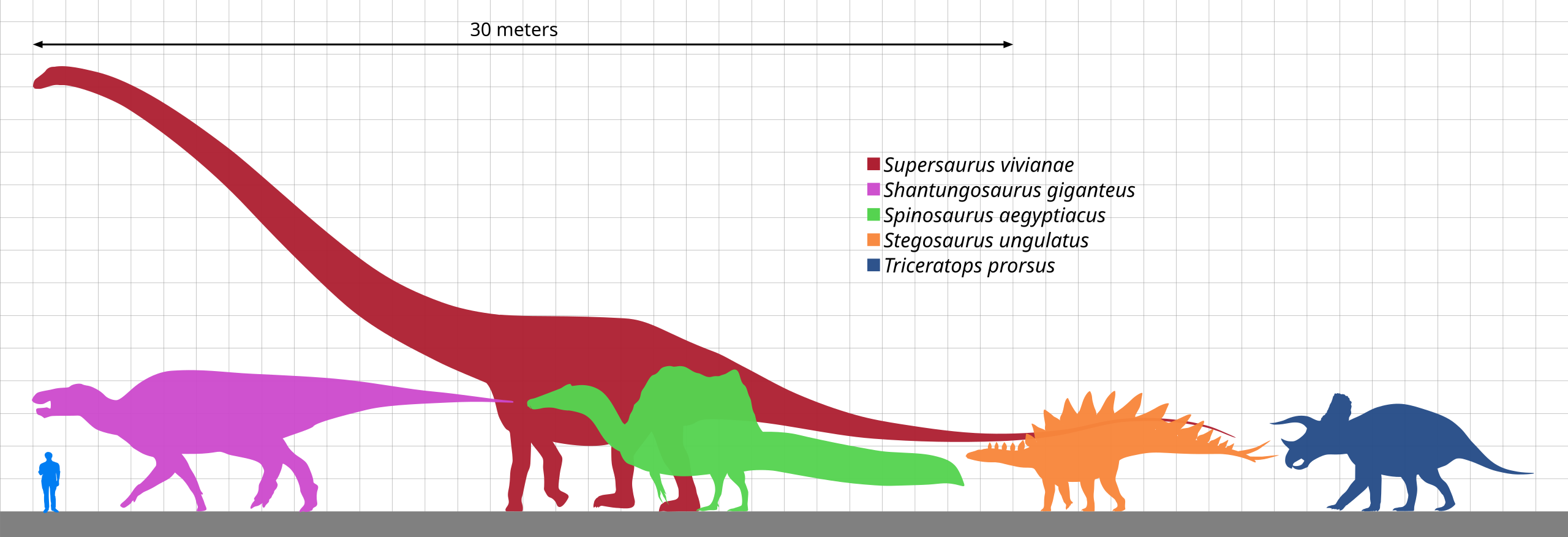 Dinosaures herbivores : qui sont-ils ? Les principales espèces