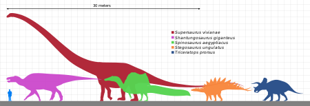 ไฟล์:Longest dinosaur by clade.svg