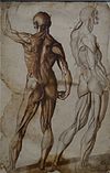Louvre-Lens - L'Europe de Rubens - 132 - Étude anatomique de deux personnages masculins.JPG