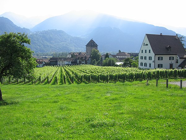 Schloss Brandis with vineyards in the foreground