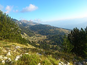 Landschaft an der Ostseite des Berges