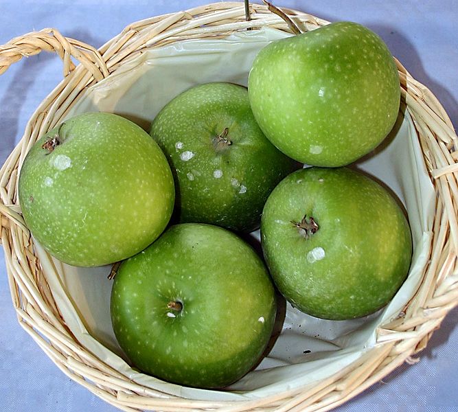 File:Malus-Granny-Smith.jpg