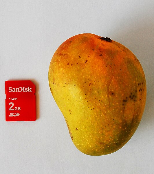 File:Mango badami.jpg