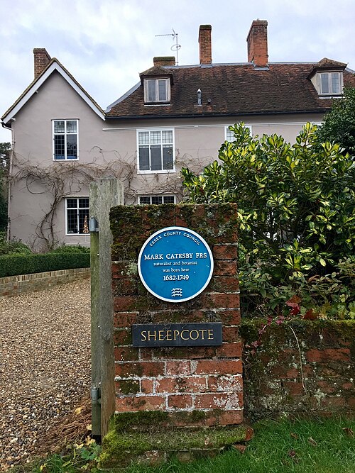 Mark Catesby's birthplace in Castle Hedingham, Essex