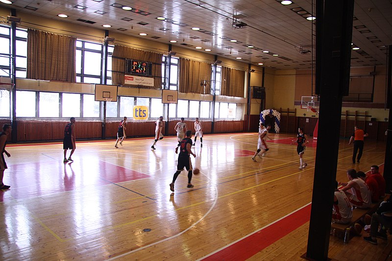 File:Match of TJ Třebíč players in Hala Leopolda Pokorného at TJ Tesla Brno vs. TJ Třebíč match in Třebíč, Třebíč District.jpg