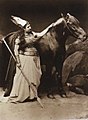 Cocotte war ein Geschenk von Ludwig II. von Bayern. Das Pferd spielte die Rolle der Grane bei der ersten Aufführung des Ring in Bayreuth