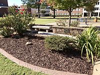 Memorial Unity Garden in front of Arkansas Hall honoring the victims Memorialunitygarden.jpg