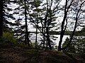 Looking upstream from Maudslay State Park (right bank), Newburyport, MA