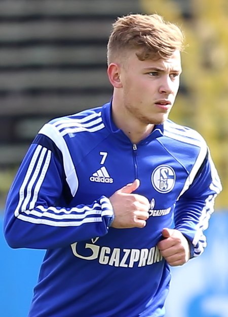 Max_Meyer