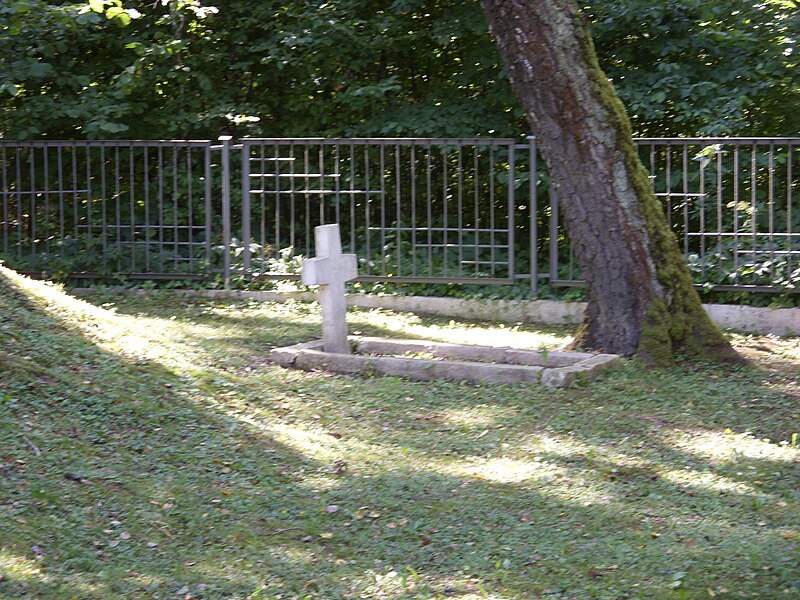 File:Military cemetery from World War I and World War II in Dąbrowa Tarnawacka near Tarnawatka (7).jpg