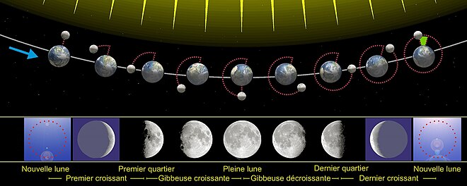 Animazione di una rotazione della Luna attorno alla Terra, che mostra in ogni punto quale fase sarà osservata sulla Terra.