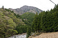 ヒノキ（画面右端）、スギ、モミと広葉樹が混在する林分（神奈川県）
