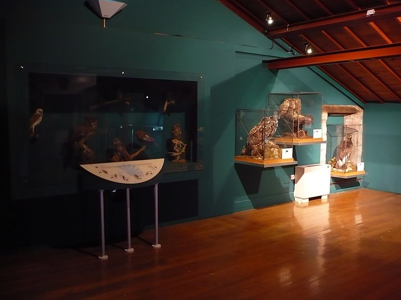 File:Museo de la Naturaleza de Cantabria (199).jpg