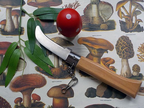 Mushroom knife with wooden handle.