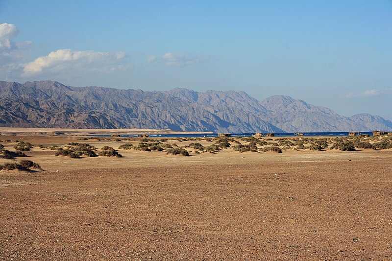 File:Nabq Managed Resource Protected Area South Sinai.jpg