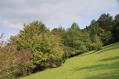 Jak do Branžovy hromadnou dopravou - O místě