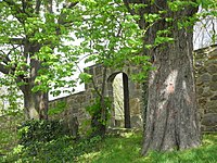 Large tree population in the Burggarten (1 Li, 1 RBu, 1 BlBu, 2 RKa)