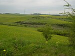 Naturschutzgebiet Glockengrund