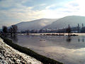 Überflutete Neckarwiese im Januar 2003