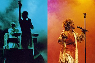 <span class="mw-page-title-main">Neneh Cherry discography</span>