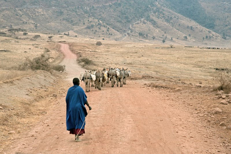 File:Ngorongoro Crater - panoramio (1).jpg