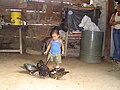 Niño en hato Santa Rosa Apure Venezuela