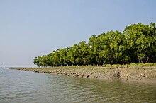 Nijhum Dwip (03)