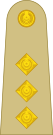 OF-2 Ejército de Pakistán.svg