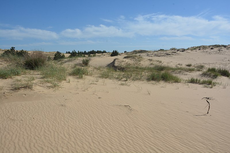 File:Oleshky Sands 06 (YDS 0471).jpg