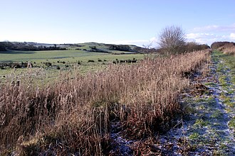 A general view of the path running along the southern edge of Cors Fochno and alongside Pwll Du which is hidden in the rushes. On Cors Fochno. - geograph.org.uk - 1692332.jpg