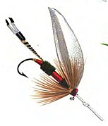 Drawing of Royal Coachman Wet Fly