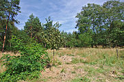 Čeština: Přírodní park Velký Kosíř, okres Prostějov