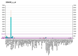 PBB GE IRF7 208436 s at fs.png