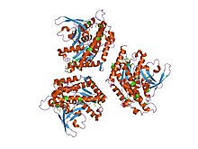 PDB 1oxw EBI.jpg