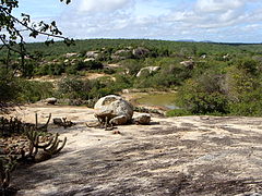 Caatinga in einem UNESCO Global Geopark in Brasilien