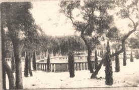 Palma Ceia springs original pool with trees 1906