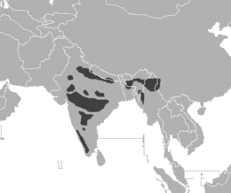 Utbredelseskart for Bengaltiger