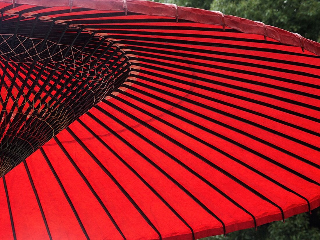 File:Parasol0073.jpg