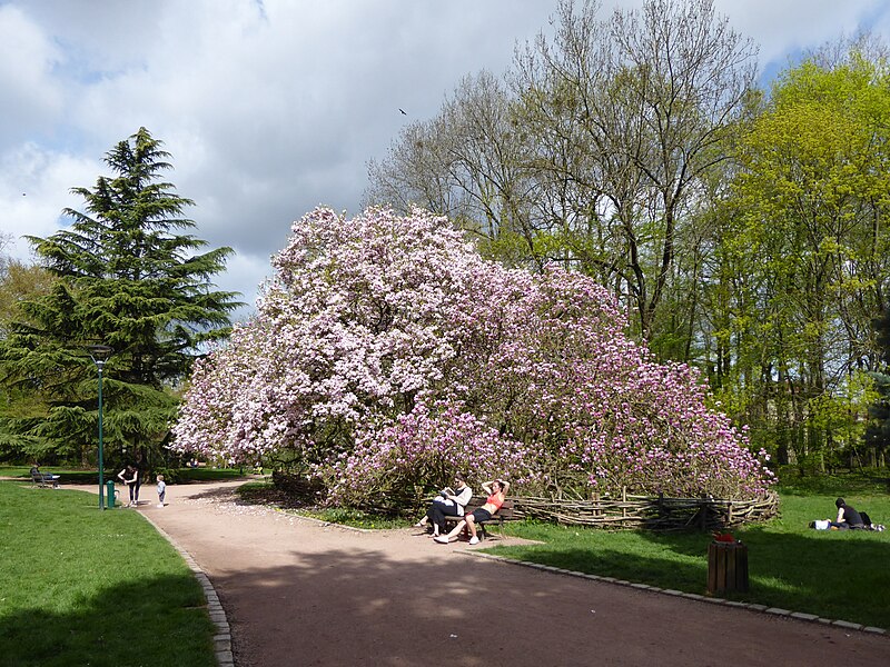 File:Parc Sainte Marie P1130087.jpg