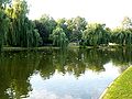 Polski: Staw w Parku Miejskim English: Lake in City Park