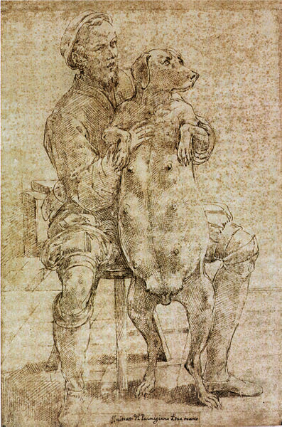 File:Parmigianino, autoritratto con cagna gravida.jpg